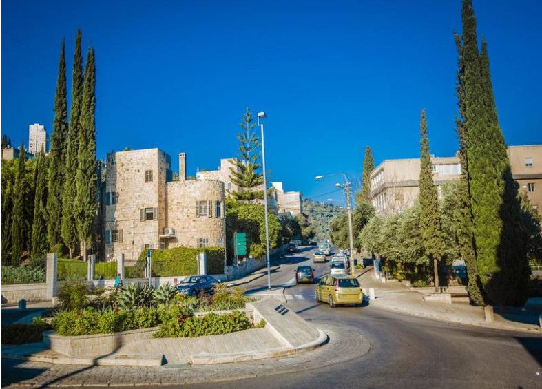 大蜜桃 练出了完美的大蜜桃身材