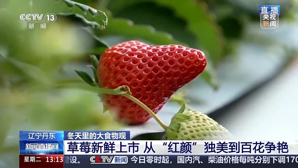 野花韩国视频观看免费高清的 记得用浏览器开隐身模式海报