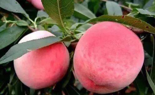 跑顺风车会被运管抓么海报