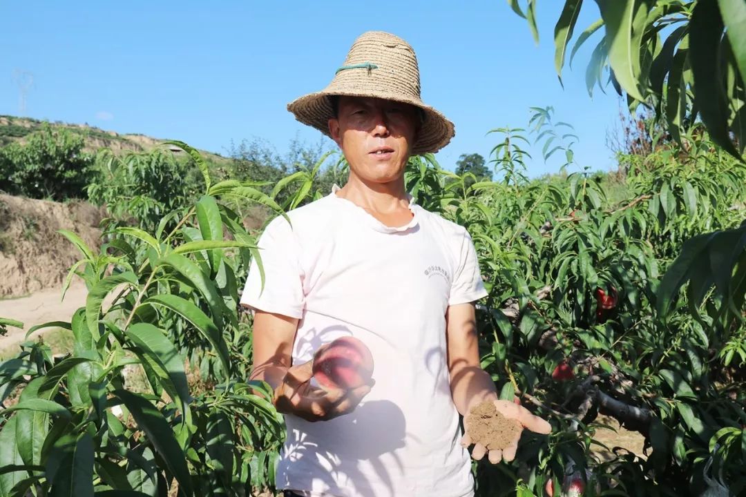 福利综艺 看他们做饭吃饭是种享受海报