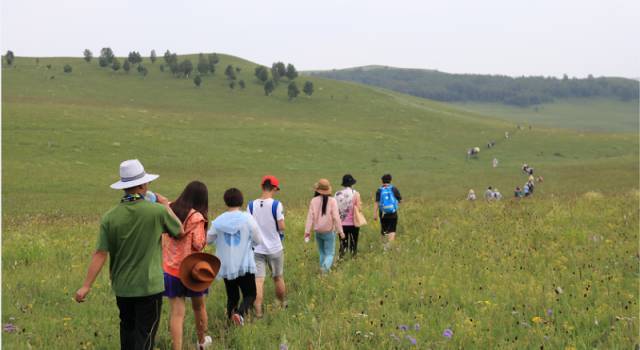 小蓝金币最新 小蓝保障私钥永不触网