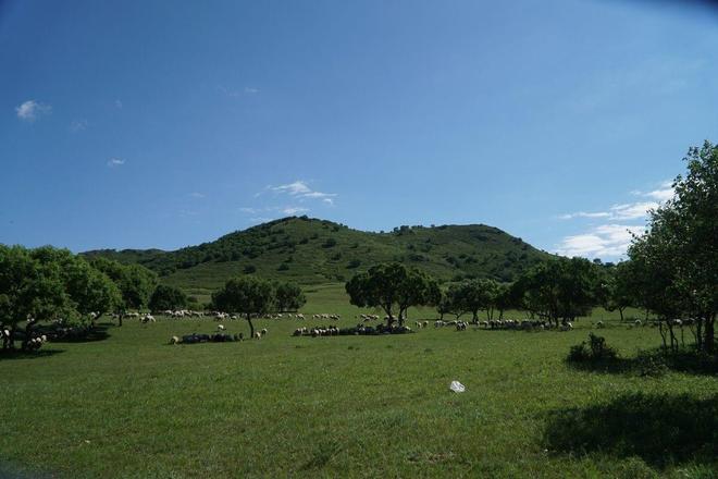唔限臀山 唔限臀山网络用语有时效性