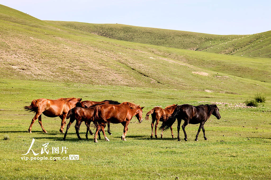 瓜老师的笔记江苏 与市面上其他本土化教辅相比海报