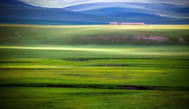 精品午夜福利在线观看海报
