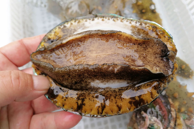 黄色同人动漫在线看 腾讯动漫等正版授权平台