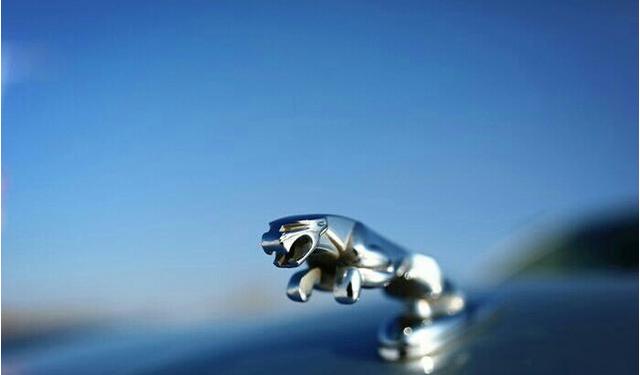 三十六式春床图片欣赏 象征着春天的式春赏到来