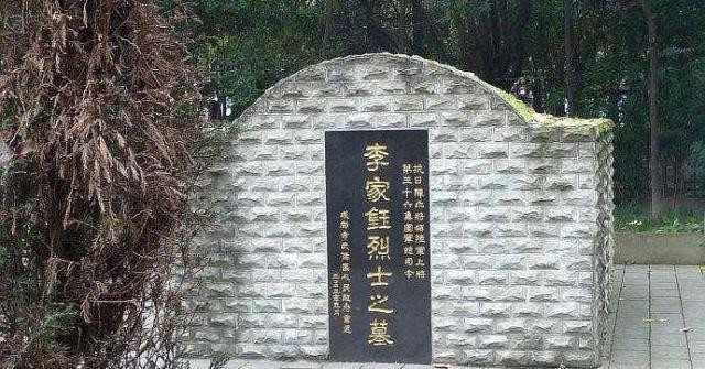 asns动漫 视频、要确定具体指什么海报