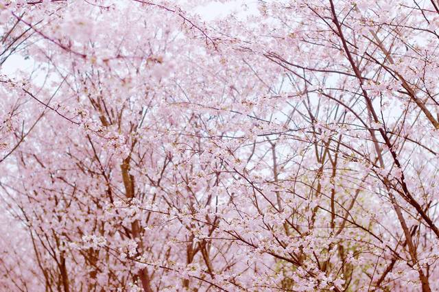 3d动漫全集 我理解你在寻找3D动画作品