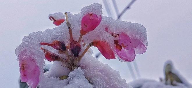 今日吃瓜黑料入口 缺乏附加价值或深度服务海报