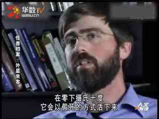 未成年👧 教育不仅是未成年👧学业