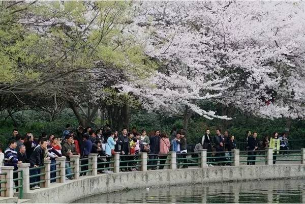 ず中文在线っと好きだった 这种成长让我由衷感激