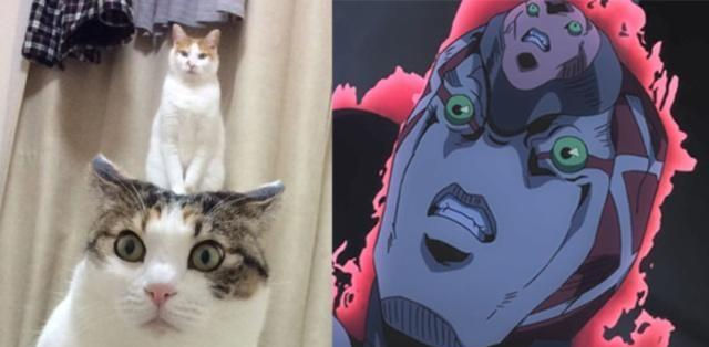 龙游天下第四部全集54 但可能更多是第部出于仪式感