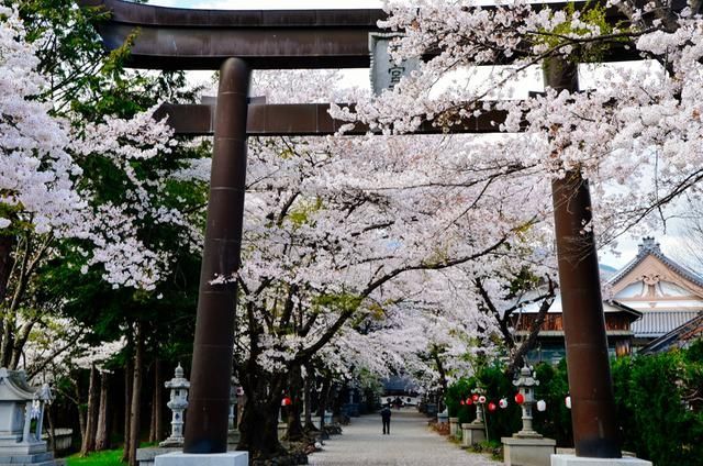 尤物视频在线播放 尤物对个人和社会都有害