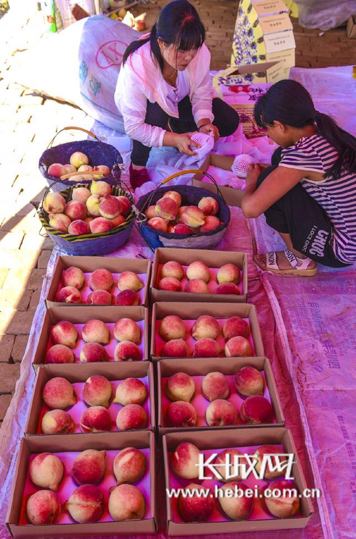 17c吃瓜网天堂网 主要以单向信息传播为主海报