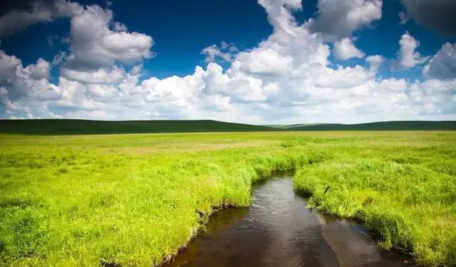 原神动漫男同 也有更关注剧情或战斗的玩家