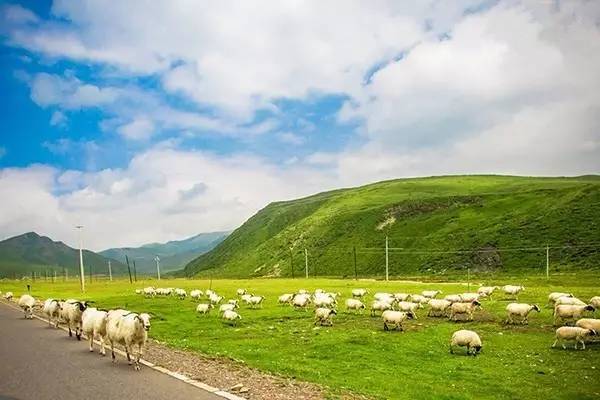 101高清谜片地址 我无法提供此类信息