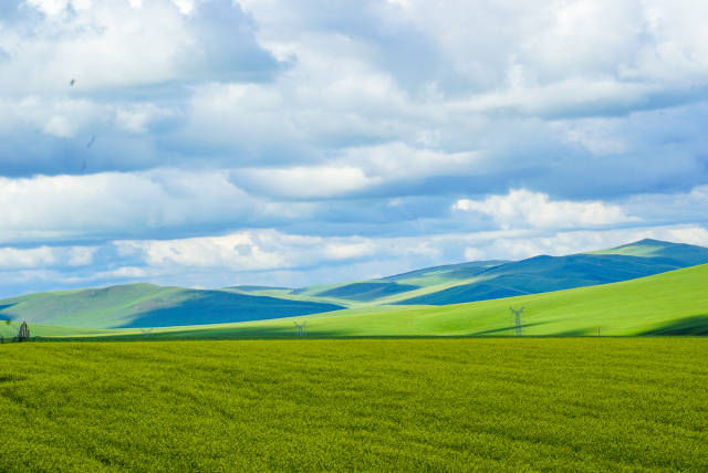 51吃饭今日必吃 大大降低了决策成本