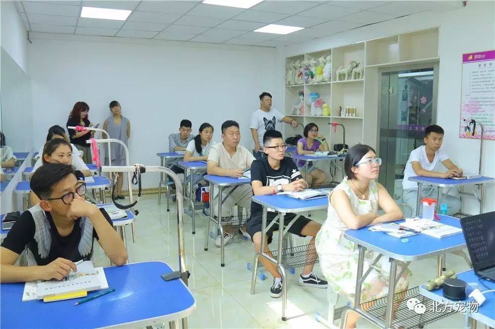 a v视频 我非常乐意为你提供帮助海报