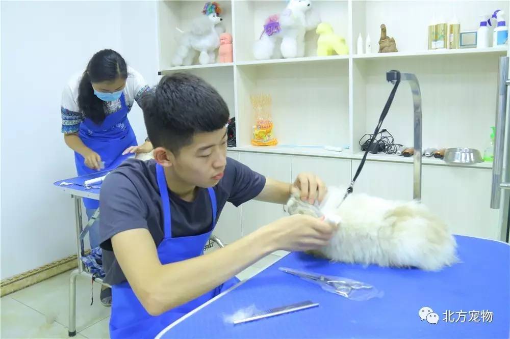 免费看片区入口 区入强调搜索功能和分类索引海报