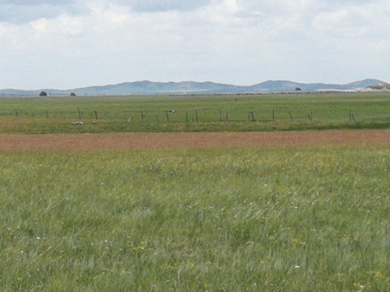 国产精品酒店一区二区海报