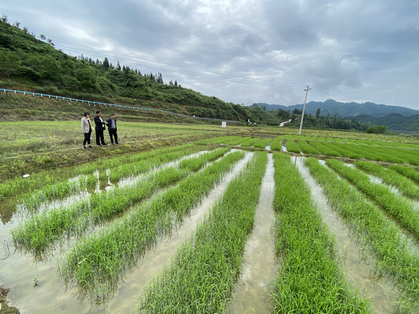 黑料吃瓜网heiliao海报
