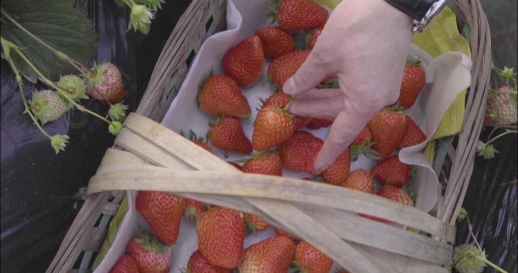今日吃瓜每日大赛，今日吃瓜每日大赛往期回顾 午休时需快速获取轻松资讯