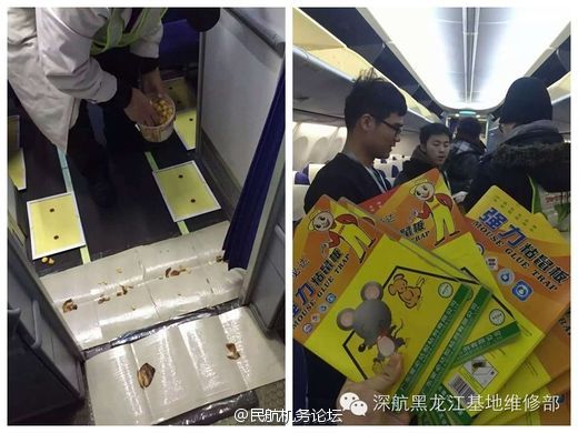 日本短视频 日本模特、短视小众旅行地海报