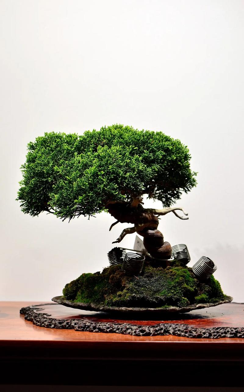 日漫里番库 我还没有学会回答这个问题