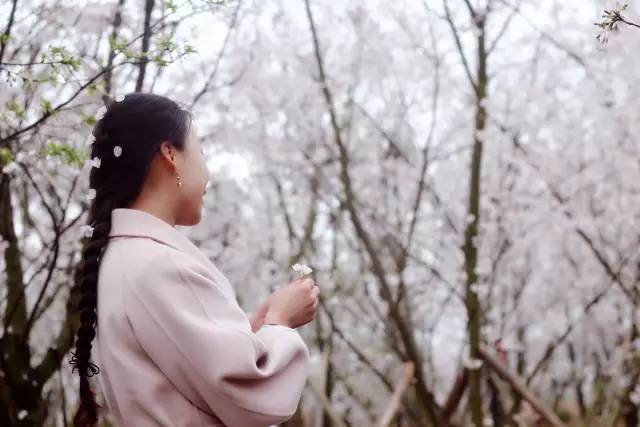 砍头视频 我无法提供这个请求