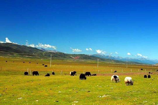 彩虹2023小蓝GTV 小蓝画面层次细腻丰富海报