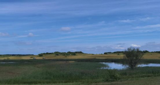 51吃瓜社区 信息密度高但深度普遍不足