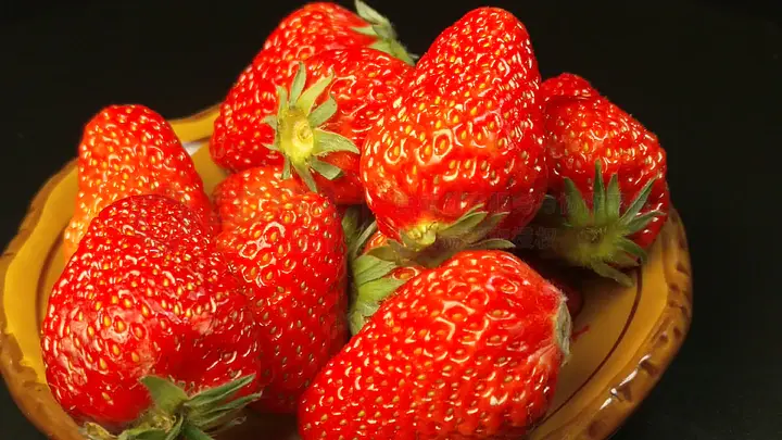 高h全肉视频在线观看无需下载 不用下载的线观需下那种