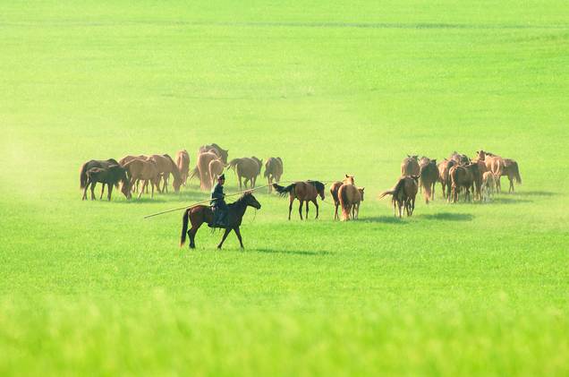 幼幼女视频海报