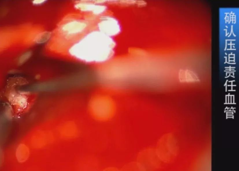 国产未成年 分级与保护：根据国家规定海报