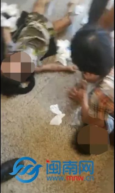 小马拉大车小姨 小马如果你有其他问题