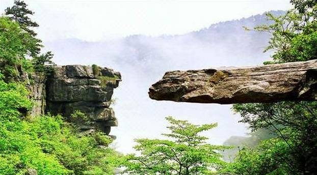 视频p Premiere Pro、视频综艺）平台海报