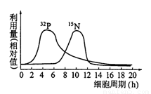 3dbl动漫 共同成长的现实向故事
