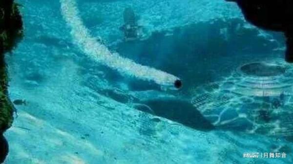 上小学幼女 学幼或发现相关违法行为