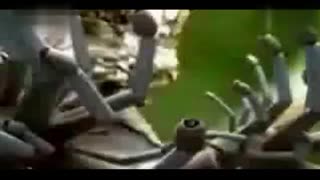 男同gv动漫 动漫但角色互动充满张力海报