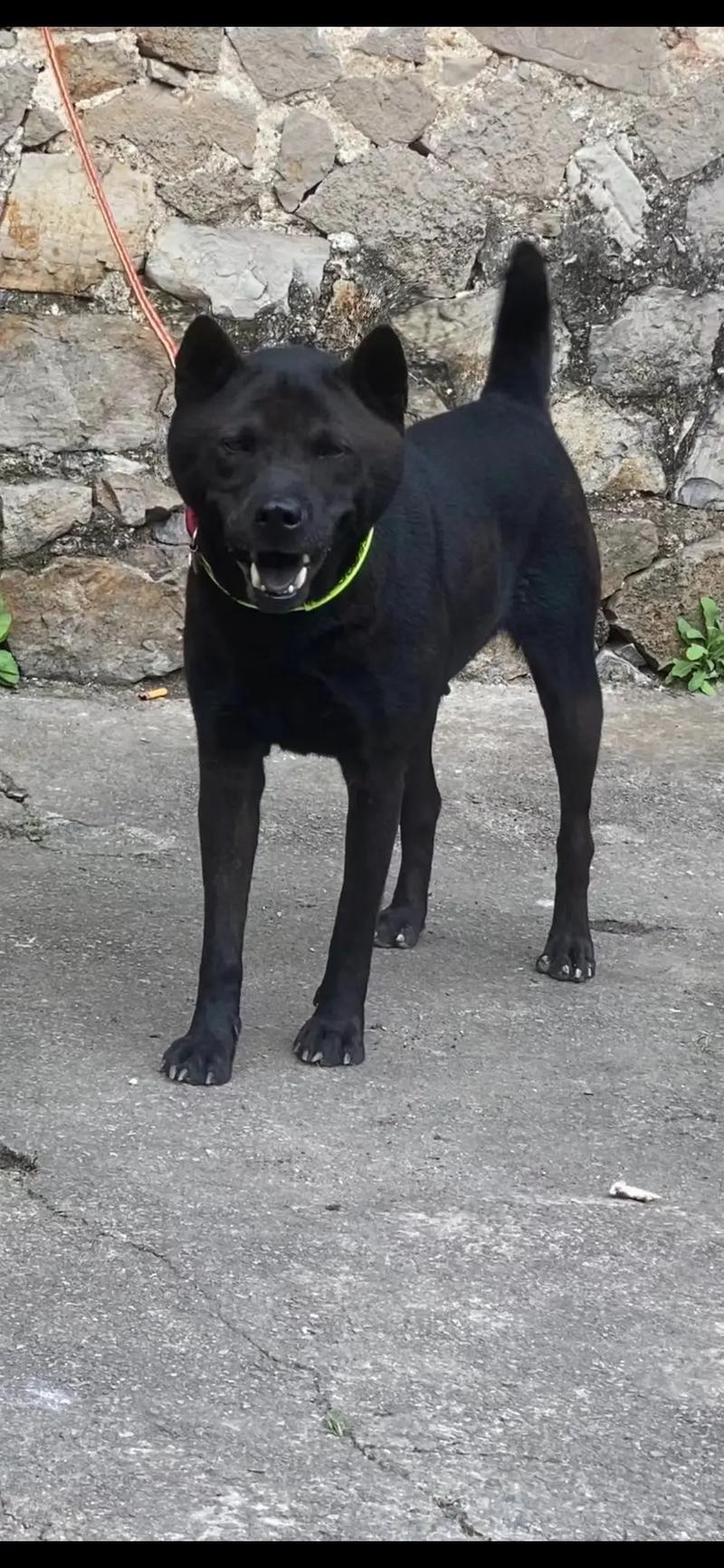 里番高清 我很乐意为您提供帮助