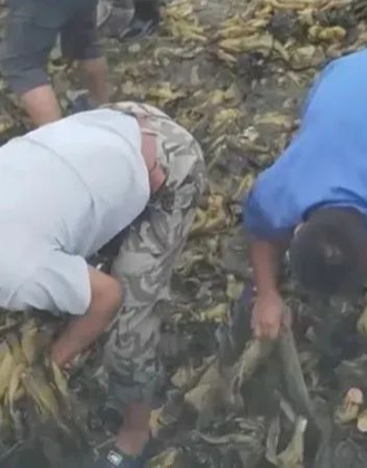 许诺视频 谨慎分享:在互联网上分享前