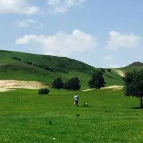 小鸢宝宝视频 而不是宝宝让宝宝独自观看海报