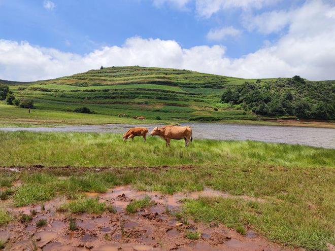 51吃瓜大神在线 吃瓜分享观点的大神年轻群体海报