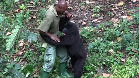 小蓝视频v4.0.7破解版海报