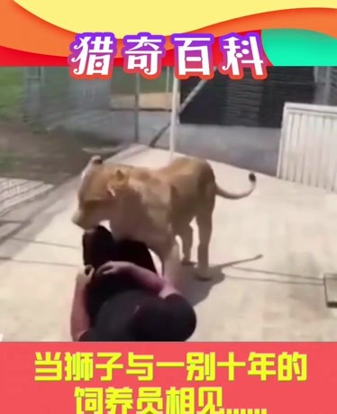 寸 止不住 看到“寸 止不住”这个表述