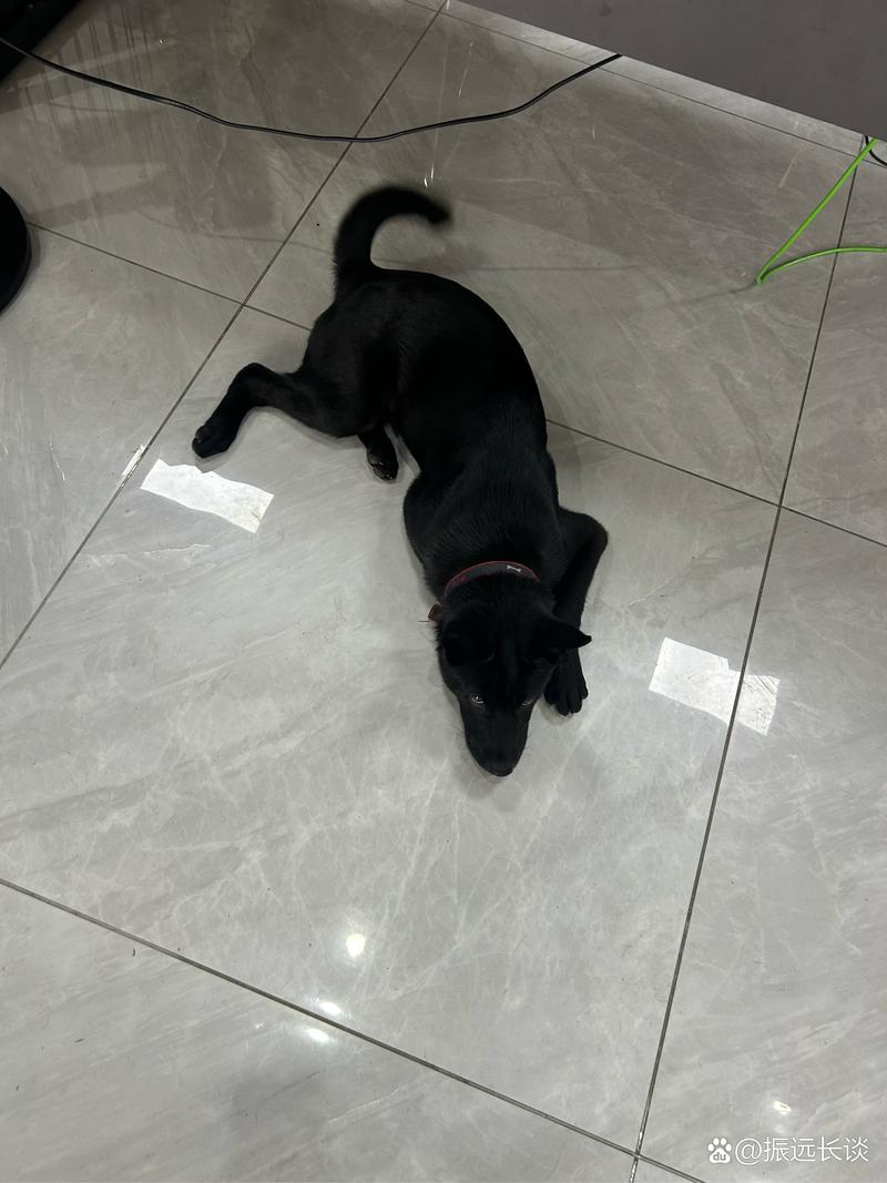 推特精品在线 希望以上信息能帮助到您