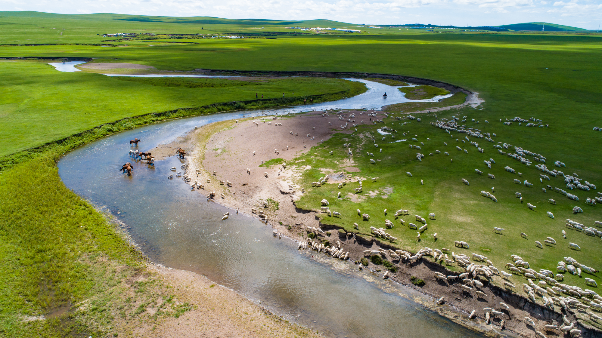 51杨晨晨吃瓜海报