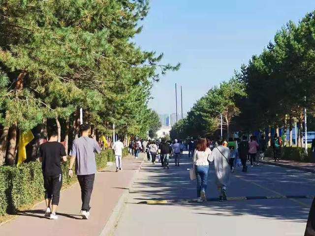 al男同 文化作品或学术讨论海报