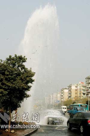 国产精品美女一区二区三区海报