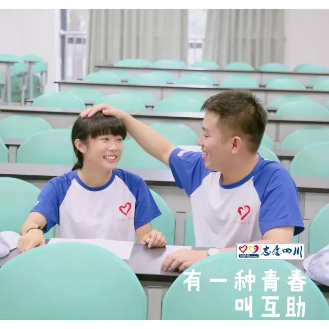 啄木鸟c lu b系列海报